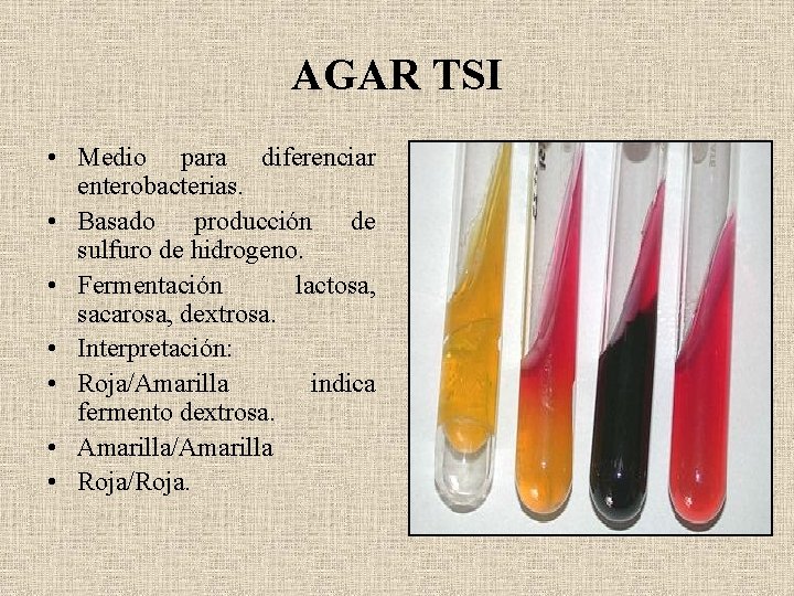 AGAR TSI • Medio para diferenciar enterobacterias. • Basado producción de sulfuro de hidrogeno.