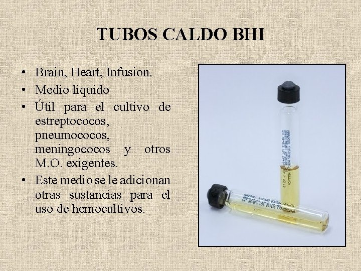 TUBOS CALDO BHI • Brain, Heart, Infusion. • Medio liquido • Útil para el