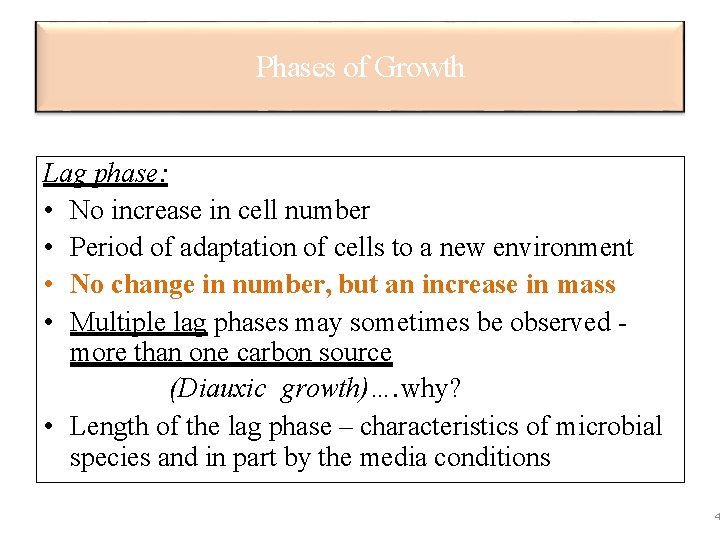 Phases of Growth Lag phase: • No increase in cell number • Period of