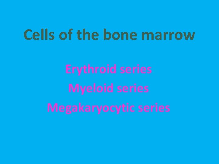 Cells of the bone marrow Erythroid series Myeloid series Megakaryocytic series 