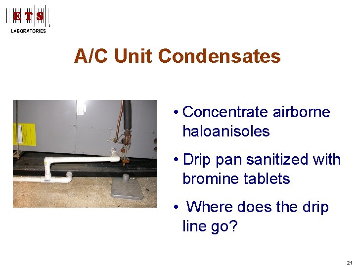 A/C Unit Condensates • Concentrate airborne haloanisoles • Drip pan sanitized with bromine tablets