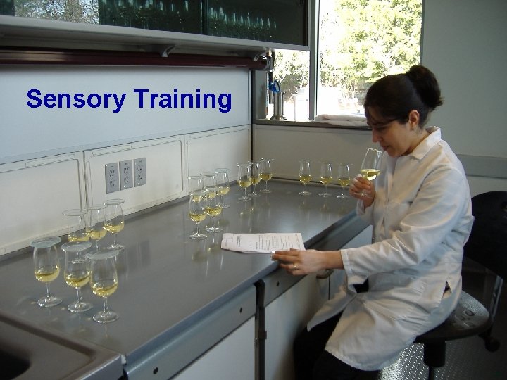 Sensory Training 28 