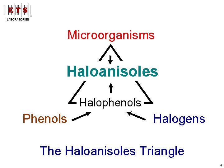 Microorganisms Haloanisoles Halophenols Phenols Halogens The Haloanisoles Triangle 4 