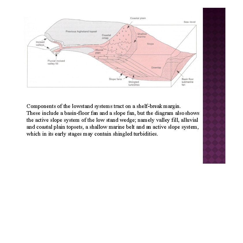 Components of the lowstand systems tract on a shelf-break margin. These include a basin-floor