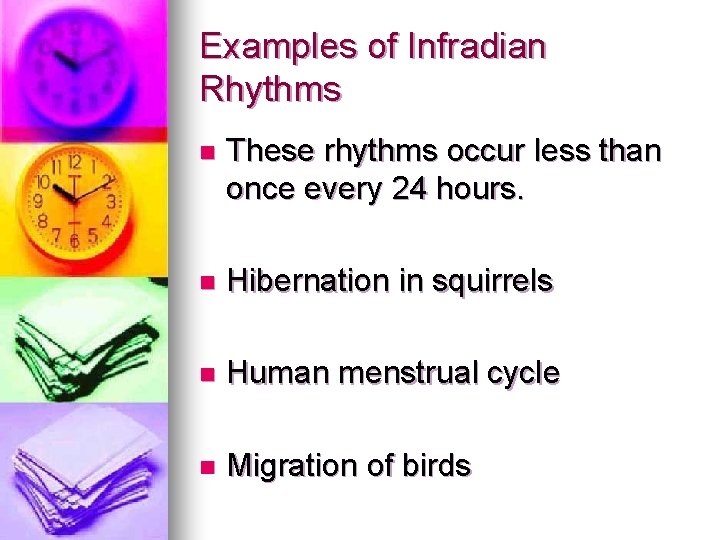 Examples of Infradian Rhythms n These rhythms occur less than once every 24 hours.