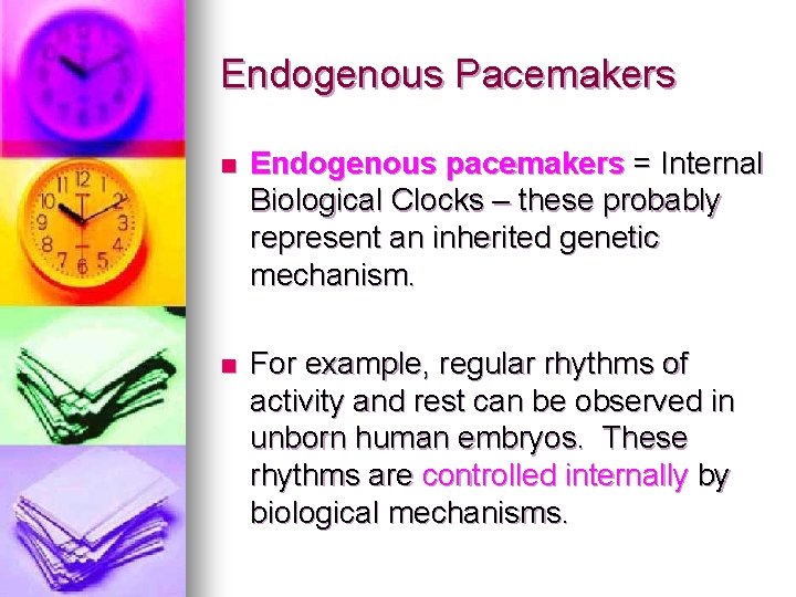 Endogenous Pacemakers n Endogenous pacemakers = Internal Biological Clocks – these probably represent an