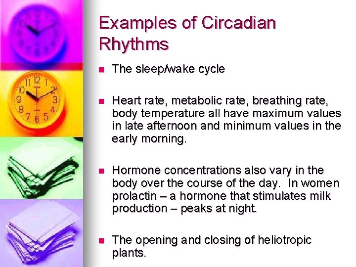 Examples of Circadian Rhythms n The sleep/wake cycle n Heart rate, metabolic rate, breathing