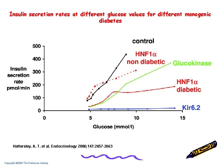 Insulin secretion rates at different glucose values for different monogenic diabetes Hattersley, A. T.