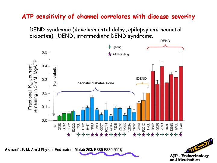 ATP sensitivity of channel correlates with disease severity DEND syndrome (developmental delay, epilepsy and
