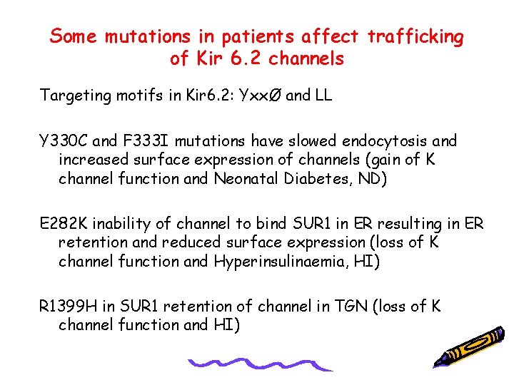 Some mutations in patients affect trafficking of Kir 6. 2 channels Targeting motifs in