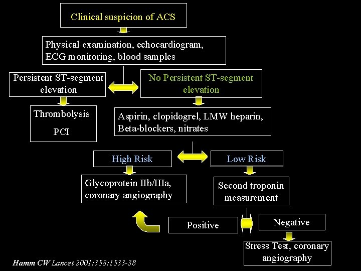 Clinical suspicion of ACS Physical examination, echocardiogram, ECG monitoring, blood samples Persistent ST-segment elevation