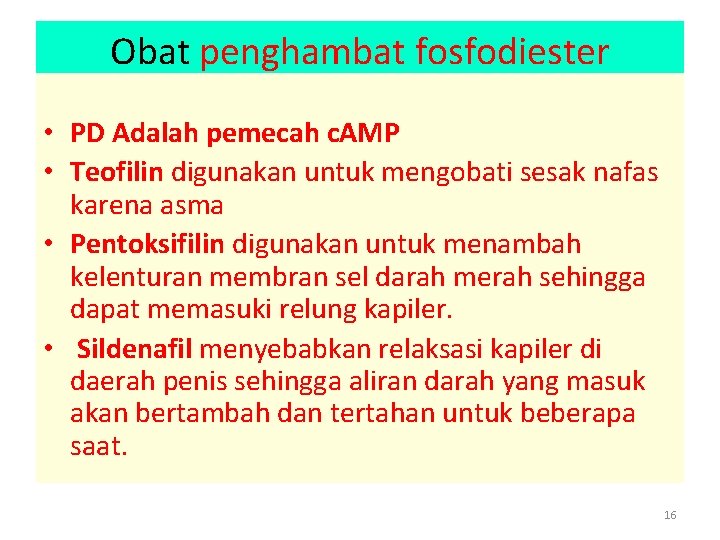 Obat penghambat fosfodiester • PD Adalah pemecah c. AMP • Teofilin digunakan untuk mengobati