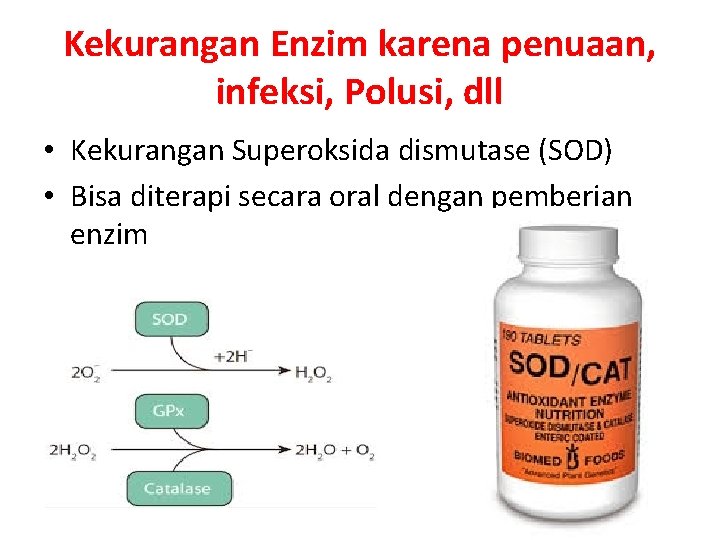 Kekurangan Enzim karena penuaan, infeksi, Polusi, dll • Kekurangan Superoksida dismutase (SOD) • Bisa