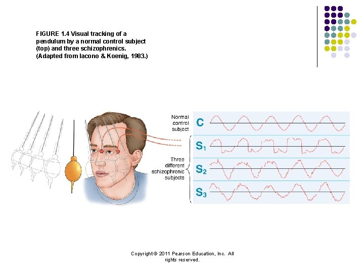 FIGURE 1. 4 Visual tracking of a pendulum by a normal control subject (top)