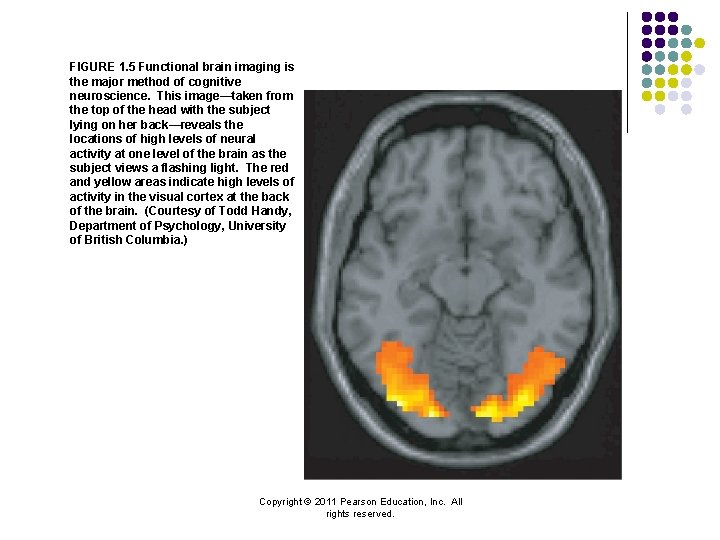 FIGURE 1. 5 Functional brain imaging is the major method of cognitive neuroscience. This