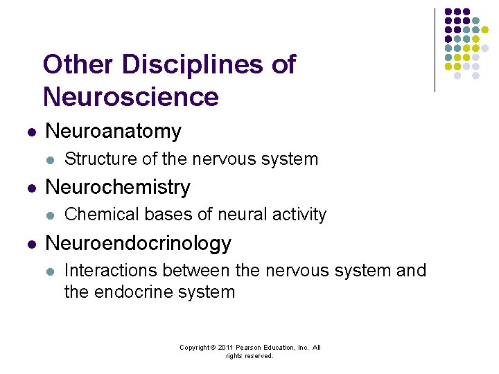 Other Disciplines of Neuroscience l Neuroanatomy l l Neurochemistry l l Structure of the