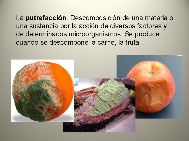 La putrefacción. Descomposición de una materia o una sustancia por la acción de diversos