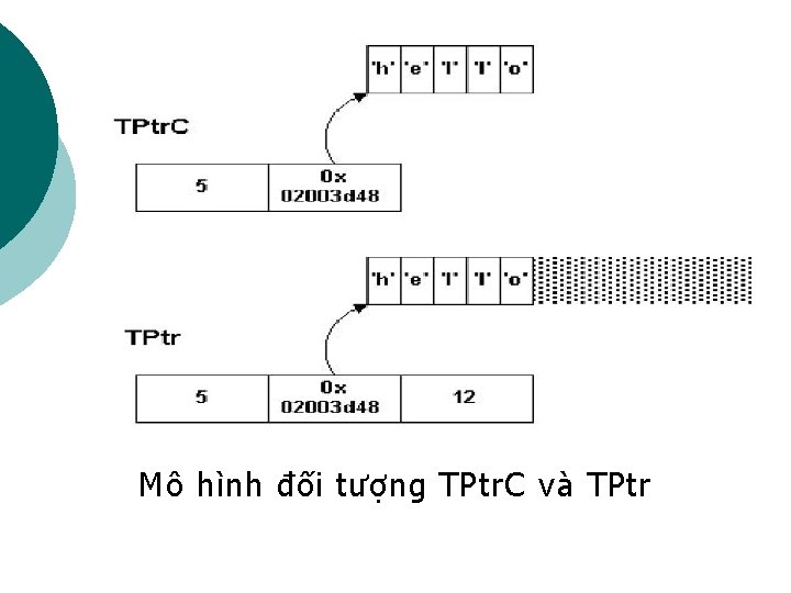 Mô hình đối tượng TPtr. C và TPtr 