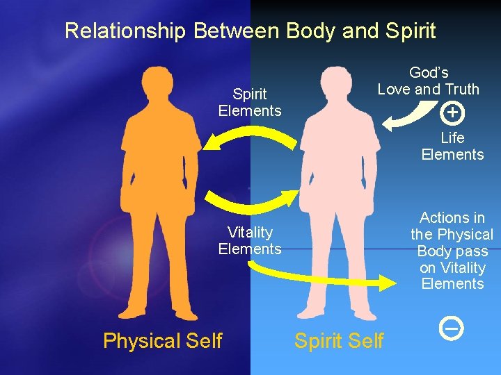 Relationship Between Body and Spirit Elements God’s Love and Truth + Life Elements Actions