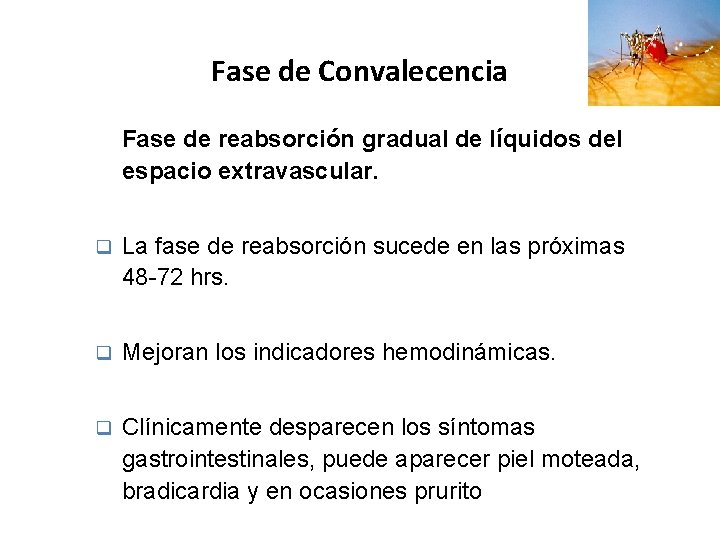 Fase de Convalecencia Fase de reabsorción gradual de líquidos del espacio extravascular. q La