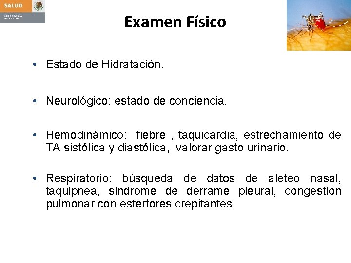 Examen Físico • Estado de Hidratación. • Neurológico: estado de conciencia. • Hemodinámico: fiebre