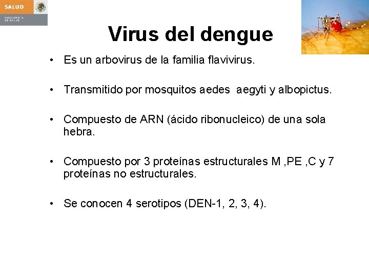 Virus del dengue • Es un arbovirus de la familia flavivirus. • Transmitido por