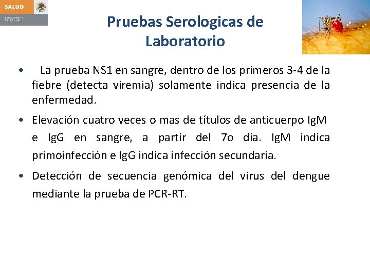 Pruebas Serologicas de Laboratorio • La prueba NS 1 en sangre, dentro de los
