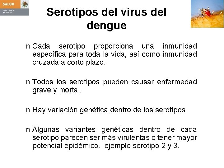 Serotipos del virus del dengue n Cada serotipo proporciona una inmunidad específica para toda