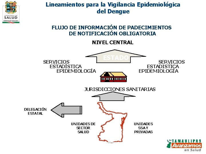 Lineamientos para la Vigilancia Epidemiológica del Dengue FLUJO DE INFORMACIÓN DE PADECIMIENTOS DE NOTIFICACIÓN