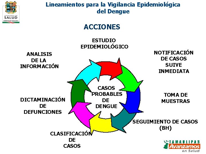 Lineamientos para la Vigilancia Epidemiológica del Dengue ACCIONES ESTUDIO EPIDEMIOLÓGICO ANALISIS DE LA INFORMACIÓN