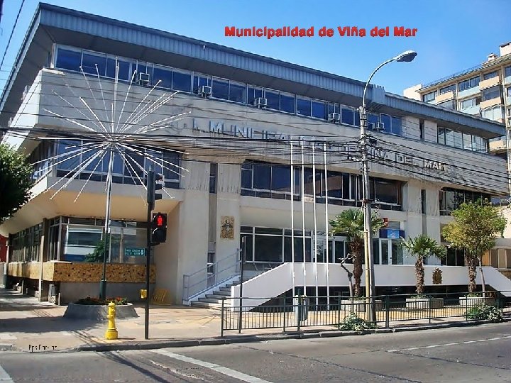 Municipalidad de Viña del Mar 