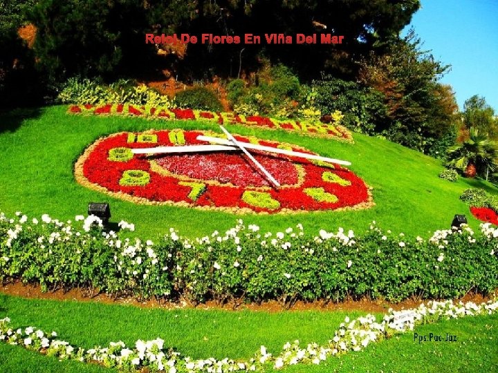 Reloj De Flores En Viña Del Mar 