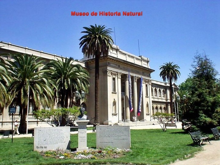 Museo de Historia Natural 