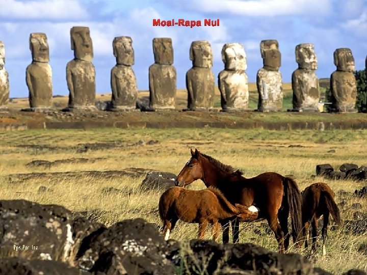 Moai-Rapa Nui 