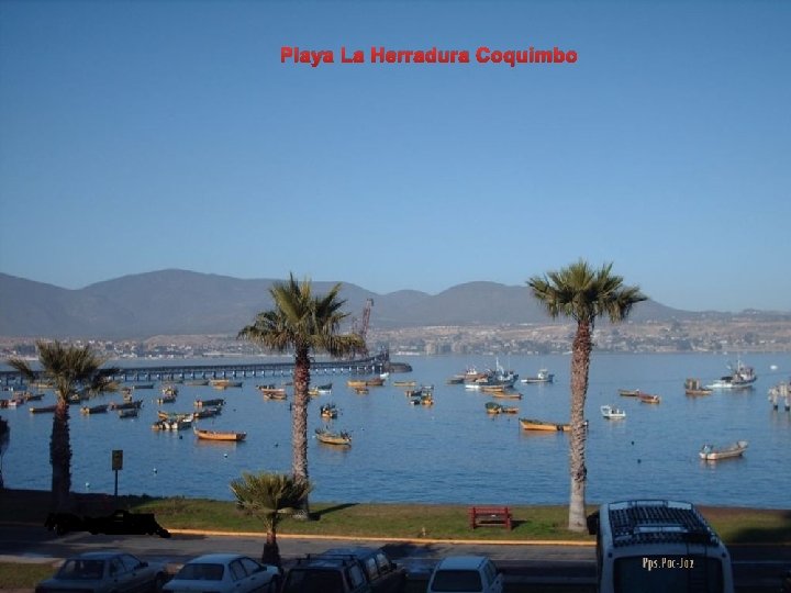 Playa La Herradura Coquimbo 