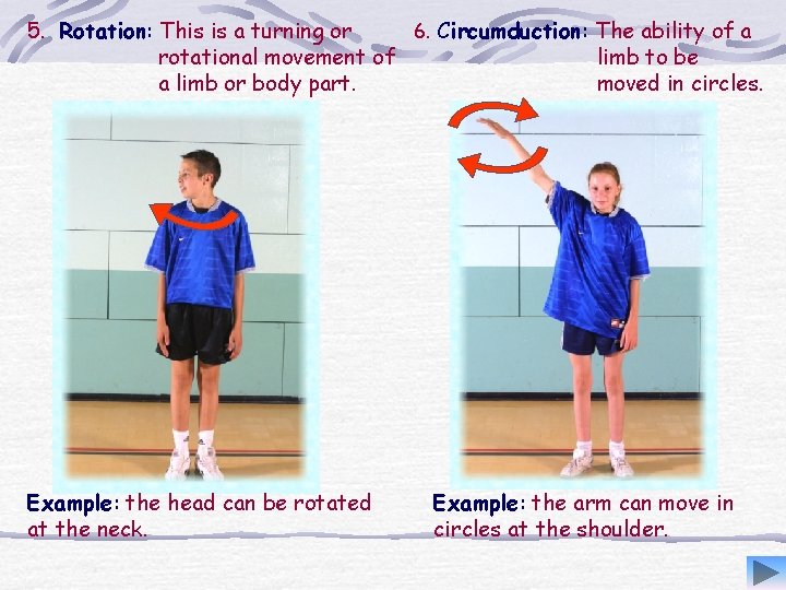 5. Rotation: This is a turning or 6. Circumduction: The ability of a rotational