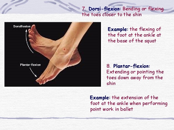 7. Dorsi-flexion: Bending or flexing the toes closer to the shin Example: the flexing