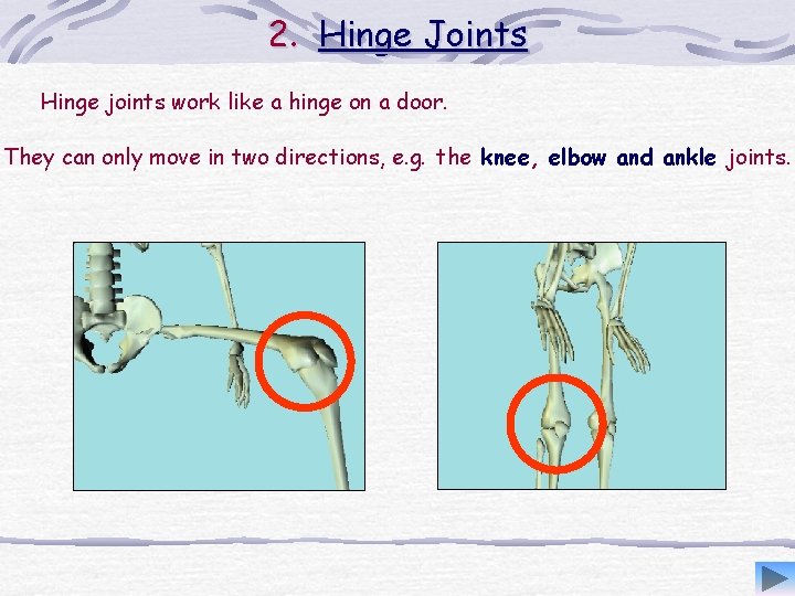 2. Hinge Joints Hinge joints work like a hinge on a door. They can
