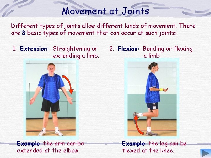 Movement at Joints Different types of joints allow different kinds of movement. There are Movement at Joints Different types of joints allow different kinds of movement. There are