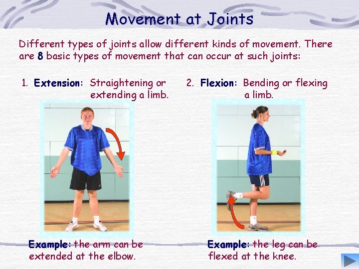 Movement at Joints Different types of joints allow different kinds of movement. There are