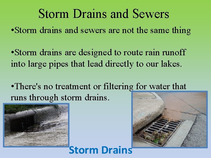 Storm Drains and Sewers • Storm drains and sewers are not the same thing