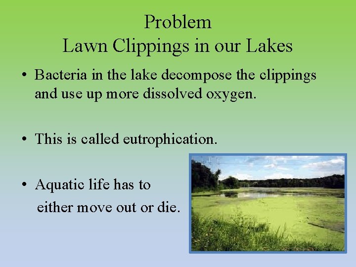 Problem Lawn Clippings in our Lakes • Bacteria in the lake decompose the clippings