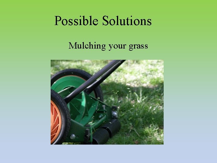 Possible Solutions Mulching your grass 