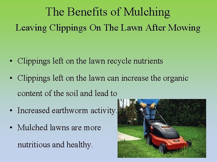 The Benefits of Mulching Leaving Clippings On The Lawn After Mowing • Clippings left