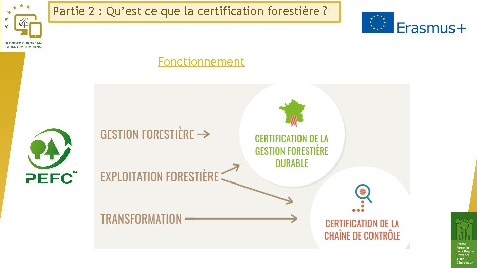 Partie 2 : Qu’est ce que la certification forestière ? Fonctionnement 
