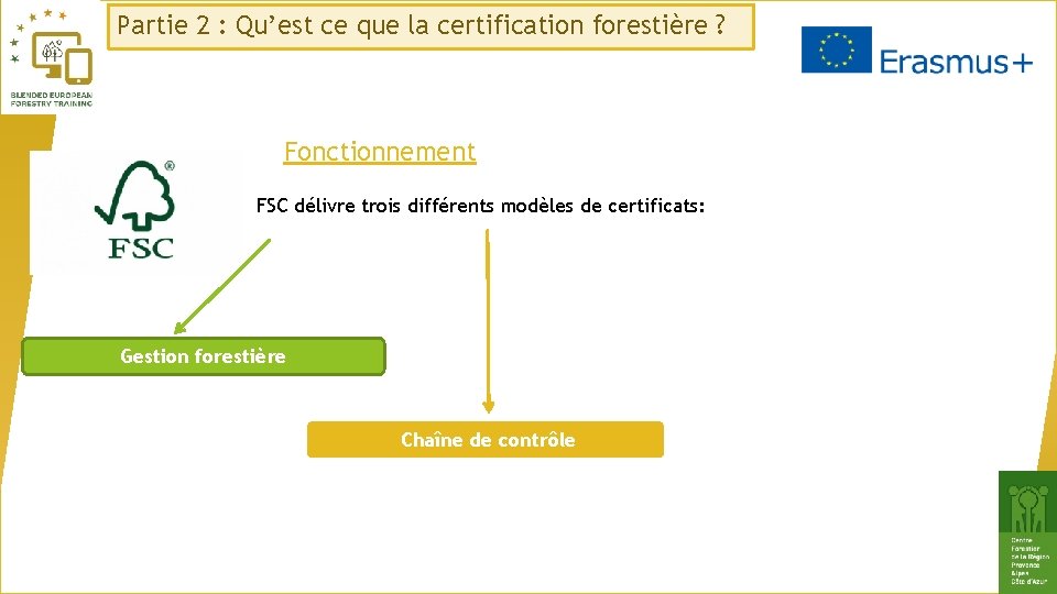 Partie 2 : Qu’est ce que la certification forestière ? Fonctionnement FSC délivre trois