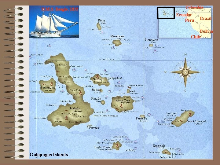H. M. S. Beagle, 1835 Columbia Ecuador Peru Brazil Bolivia Chile Galapagos Islands 