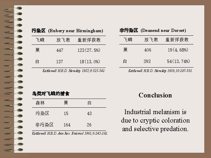 污染区 (Rubery near Birmingham) 非污染区 (Deanend near Dorset) 飞蛾 放飞数 重新俘获数 飞蛾 放飞数 黑