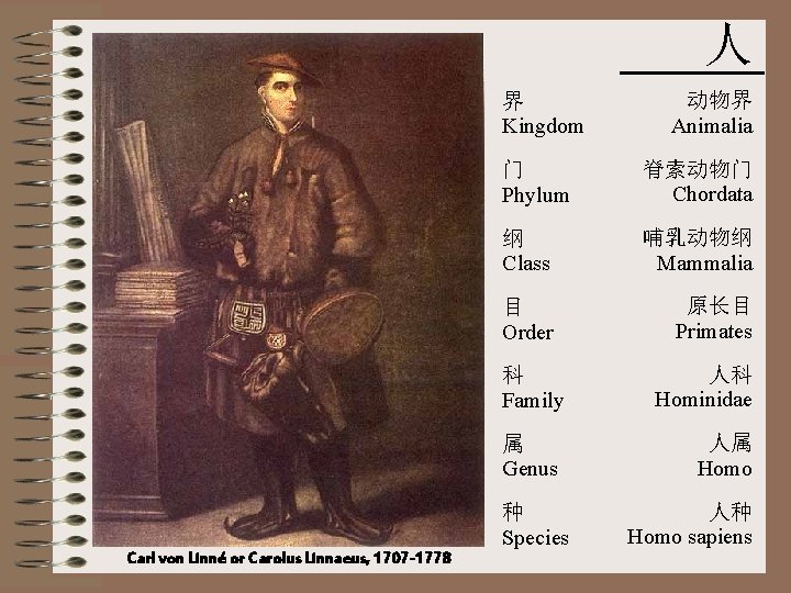 人 界 Kingdom Carl von Linné or Carolus Linnaeus, 1707 -1778 动物界 Animalia 门