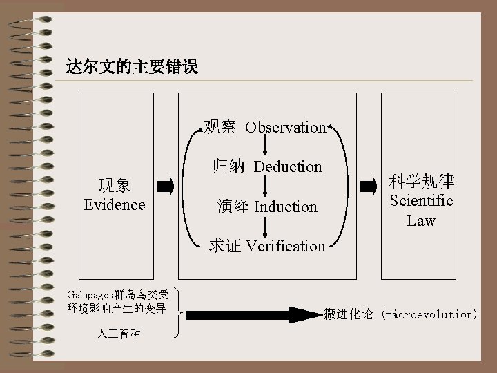 达尔文的主要错误 观察 Observation 归纳 Deduction 现象 Evidence 科学规律 Scientific Law 演绎 Induction 求证 Verification